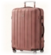 Large luggage