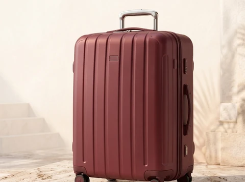 Large luggage